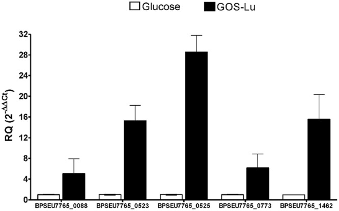 FIGURE 4