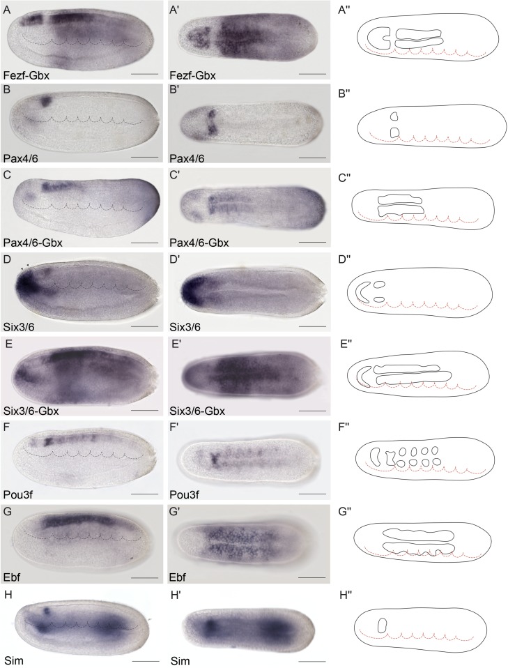 Fig 4