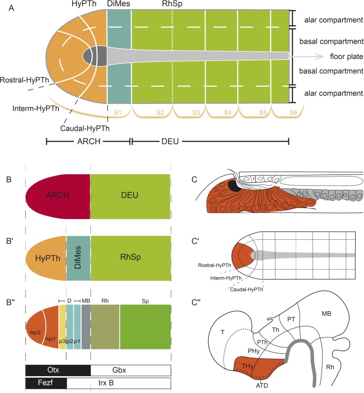 Fig 10