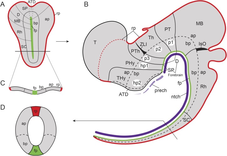 Fig 1