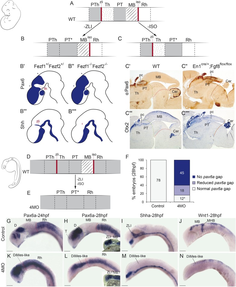 Fig 11