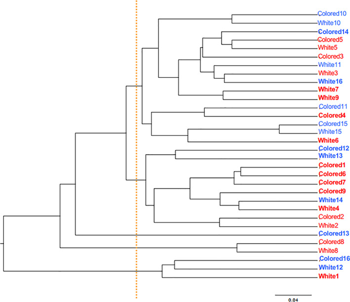 FIGURE 2