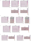 Extended Data Fig. 5
