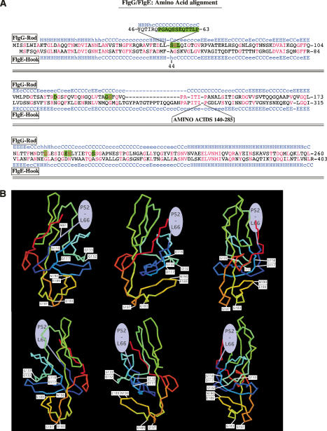 Figure 3.