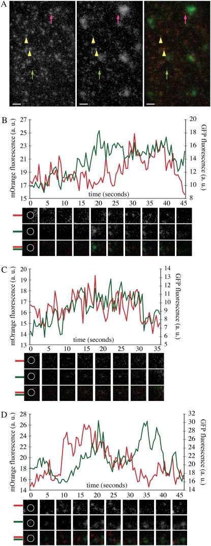 Figure 4.