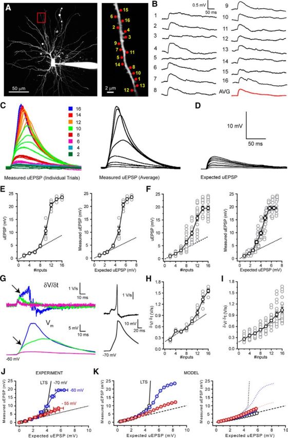 Figure 10.