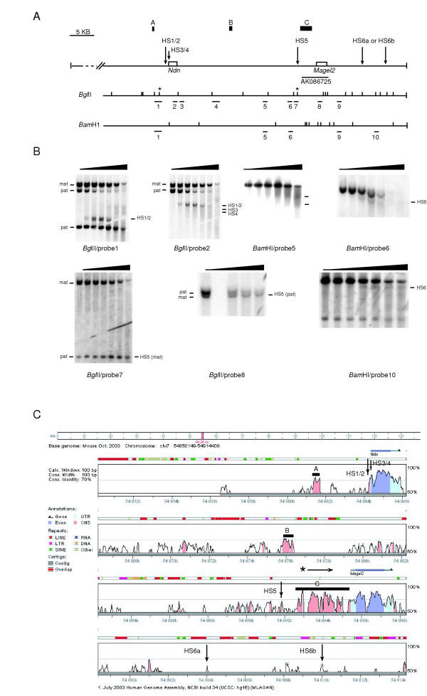 Figure 6