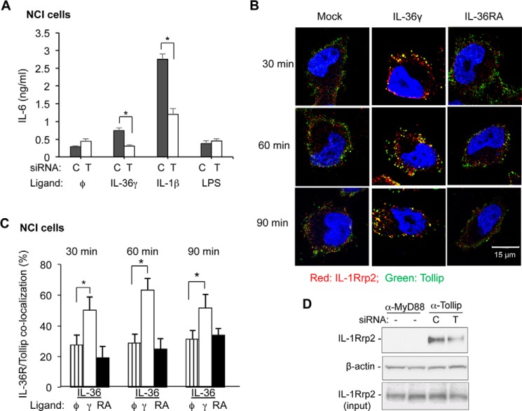 FIGURE 4.