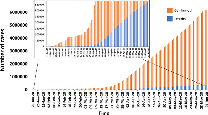 FIGURE 2