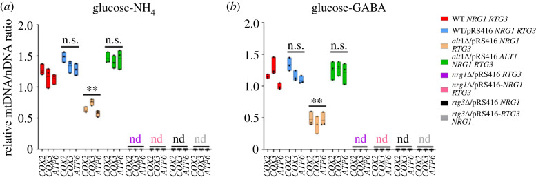 Figure 7. 