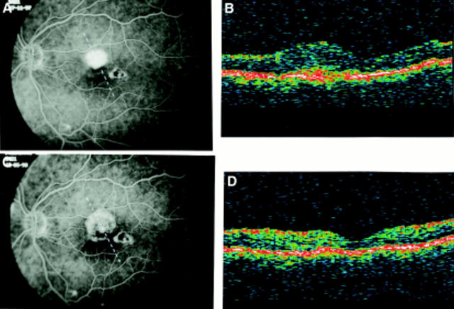 Figure 3  