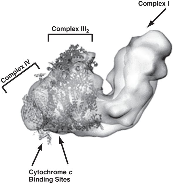 Fig. 8.4