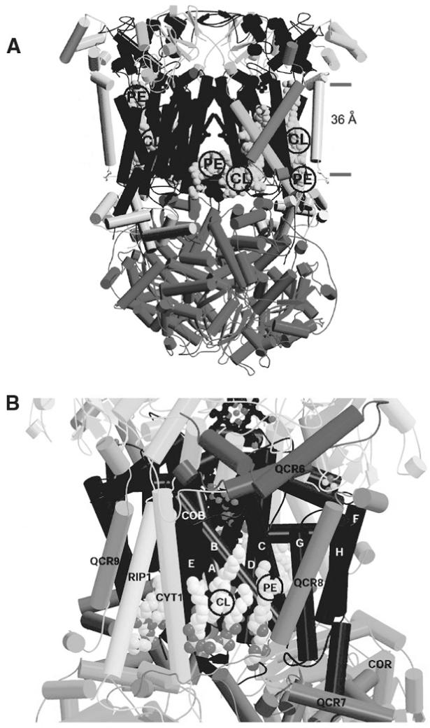 Fig. 8.3