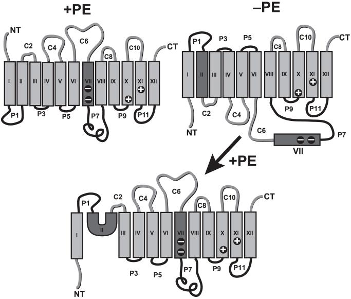 Fig. 8.2