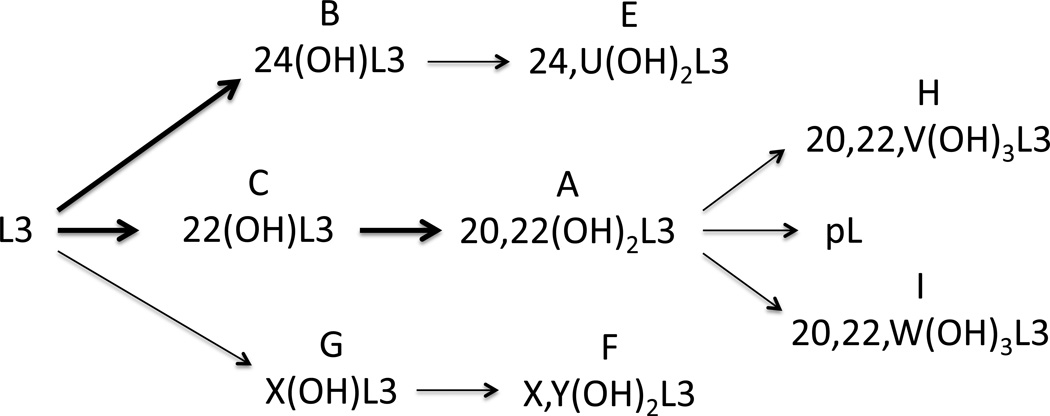 Fig. 10