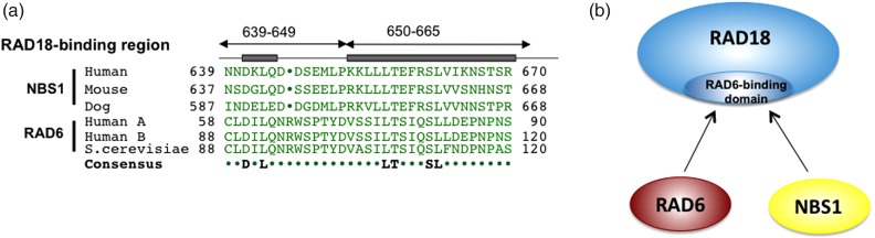 Fig. 3.