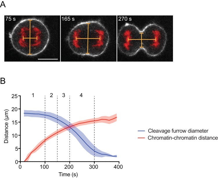 Figure 1—figure supplement 2.