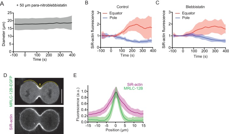 Figure 2—figure supplement 3.