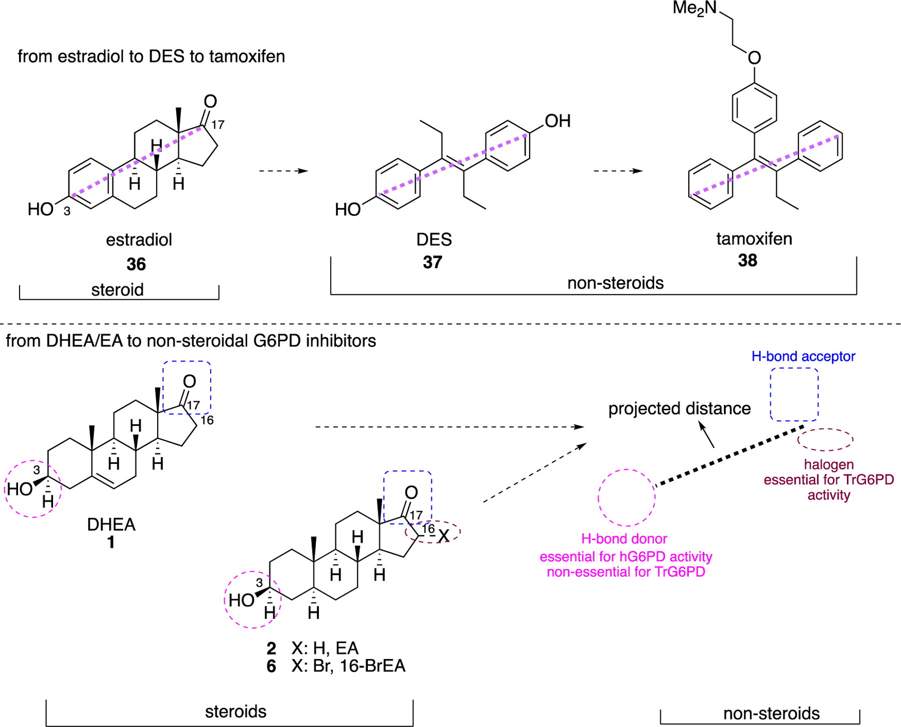 Figure 13.