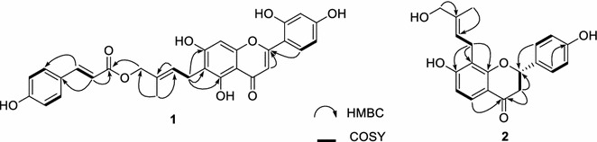 Fig. 2