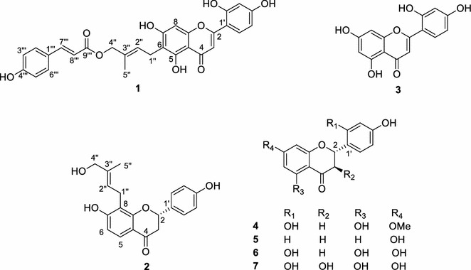 Fig. 1