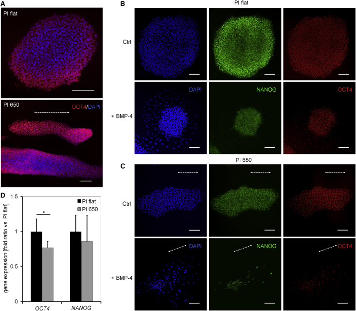 Figure 4