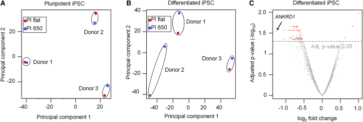 Figure 5