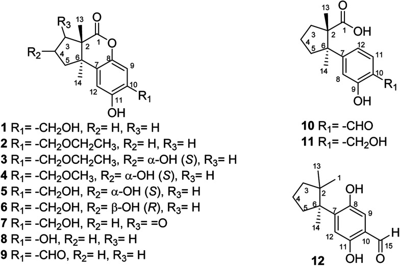 Fig. 2