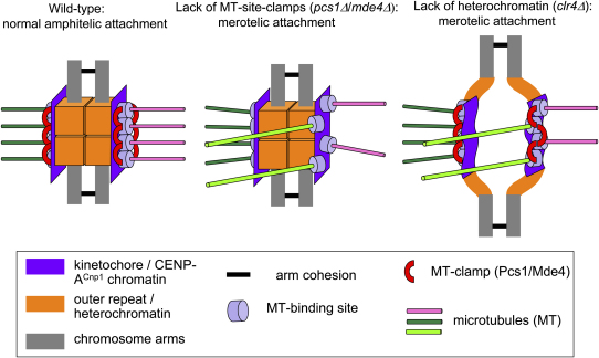 Figure 7