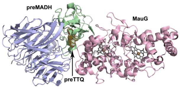 Fig. 3