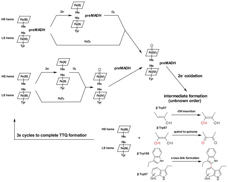 Fig. 10