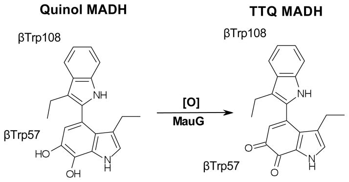 Fig. 9