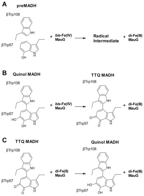 Fig. 8