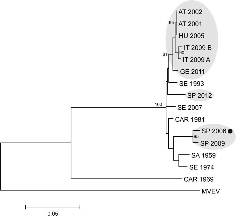 FIG. 2.