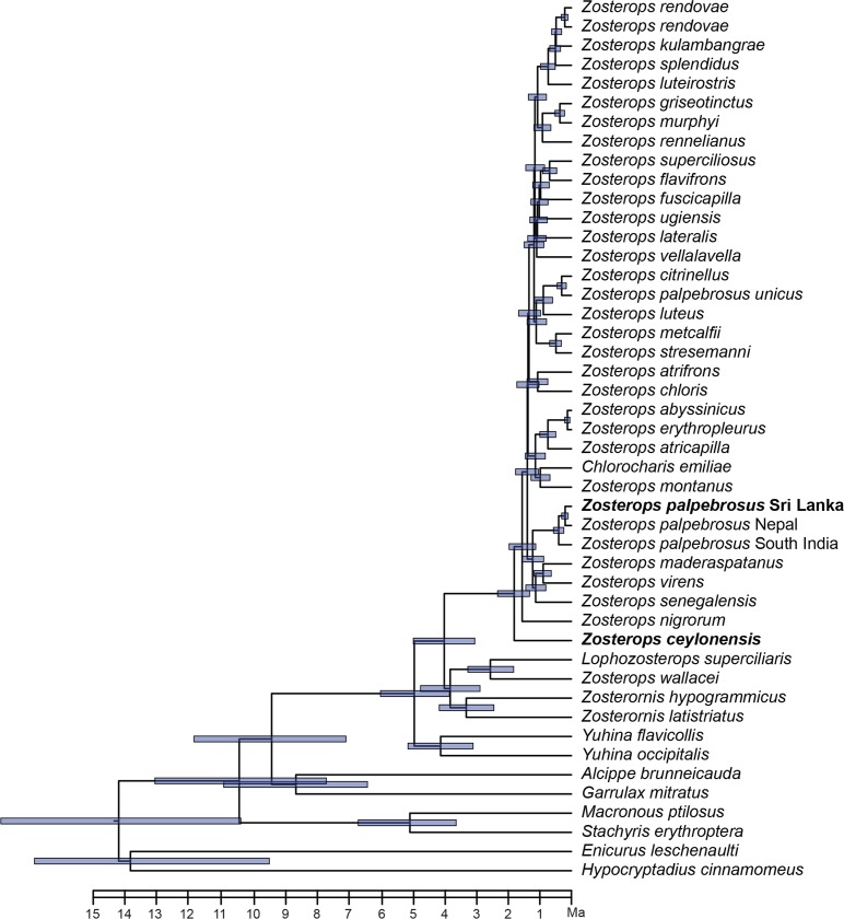 Fig 6