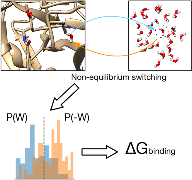 graphic file with name nihms-1863067-f0001.jpg