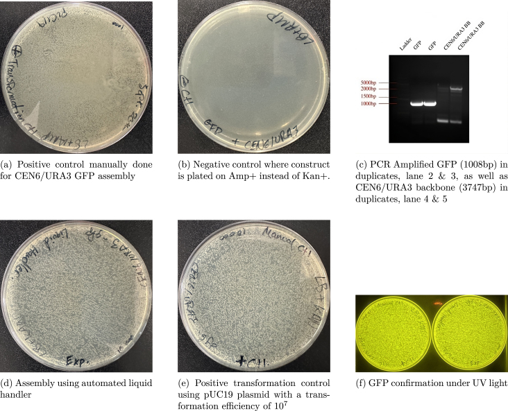 Fig. 10