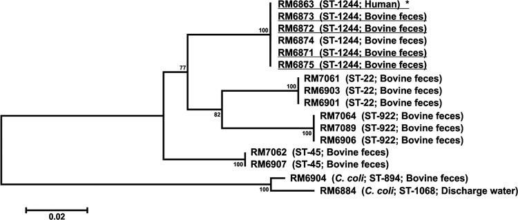 Fig 3