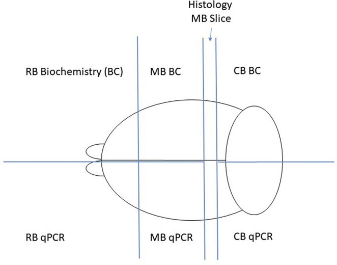 Figure 5