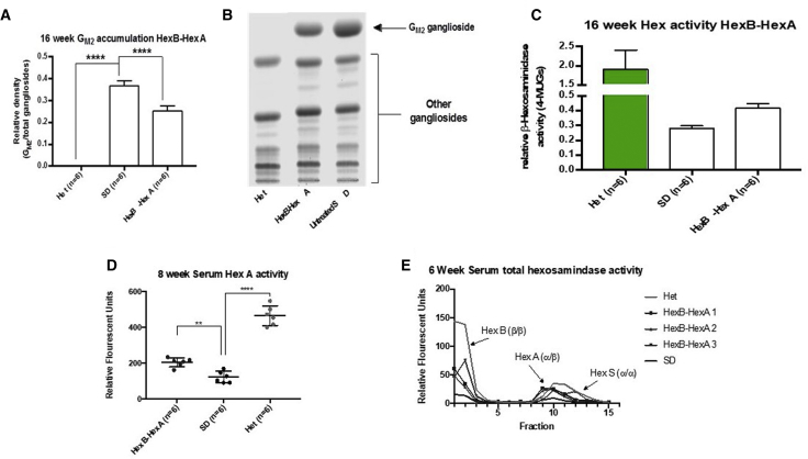 Figure 6