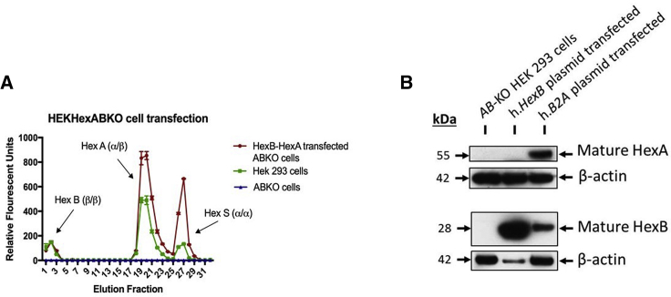 Figure 2