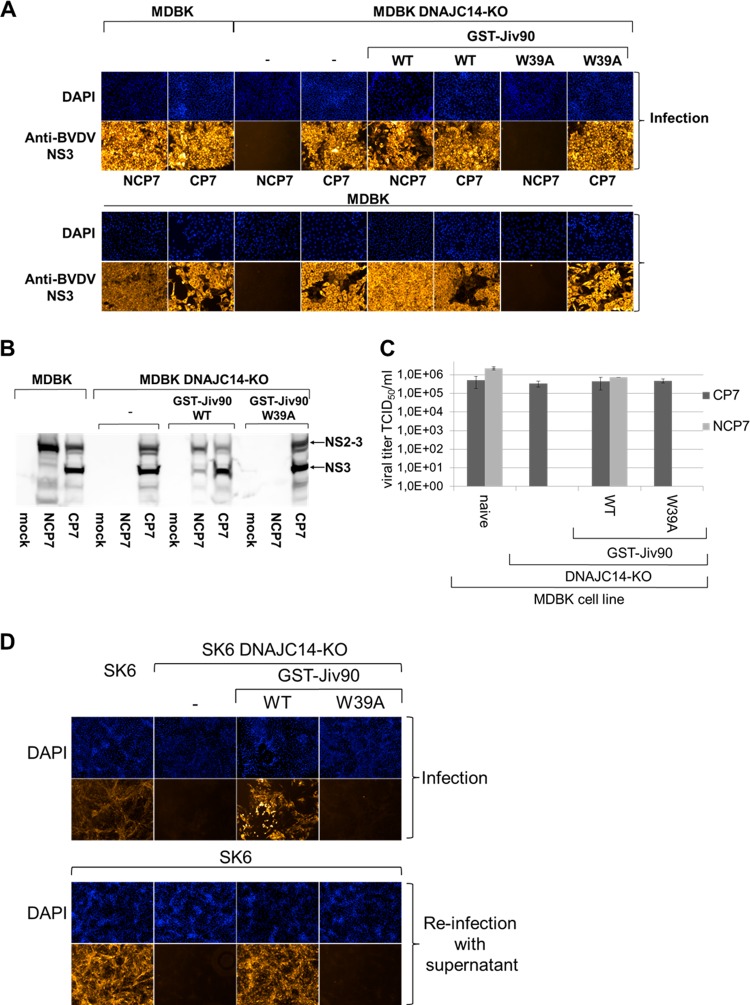 FIG 6