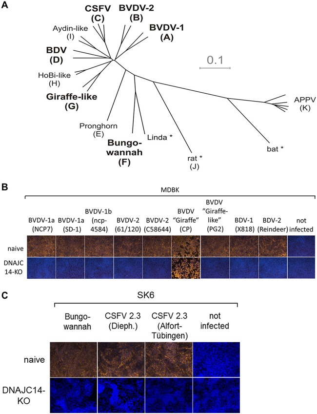 FIG 4