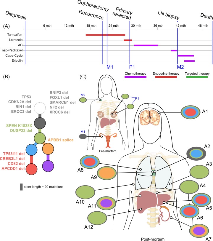 Fig 4