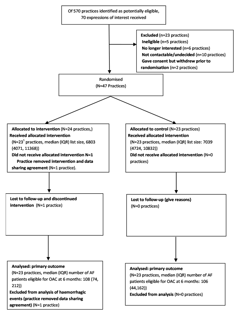 Flow diagram of trial participants