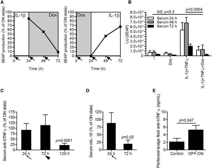 Figure 6