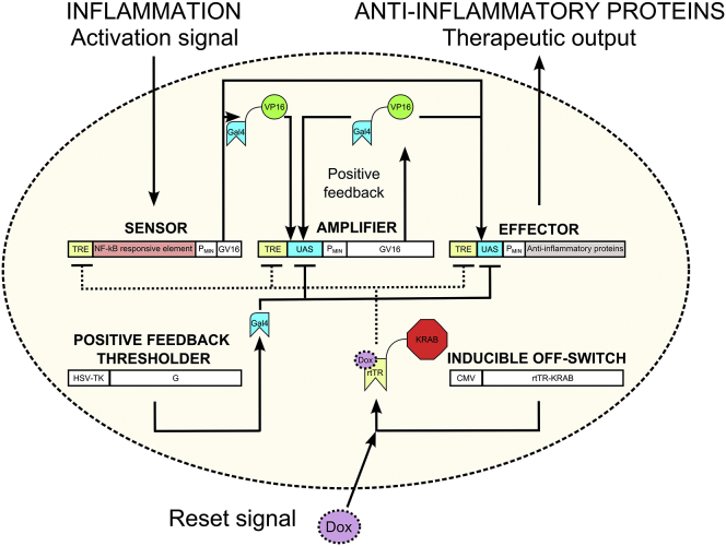 Figure 1