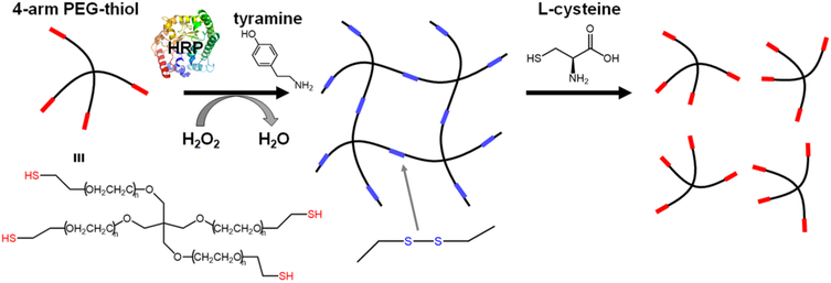 Scheme 1.