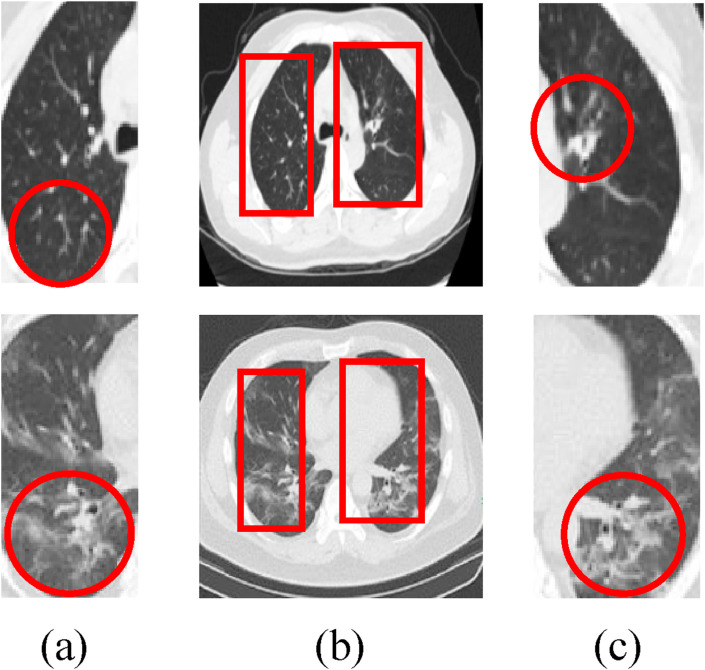 Fig. 5