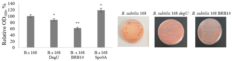 Figure 11